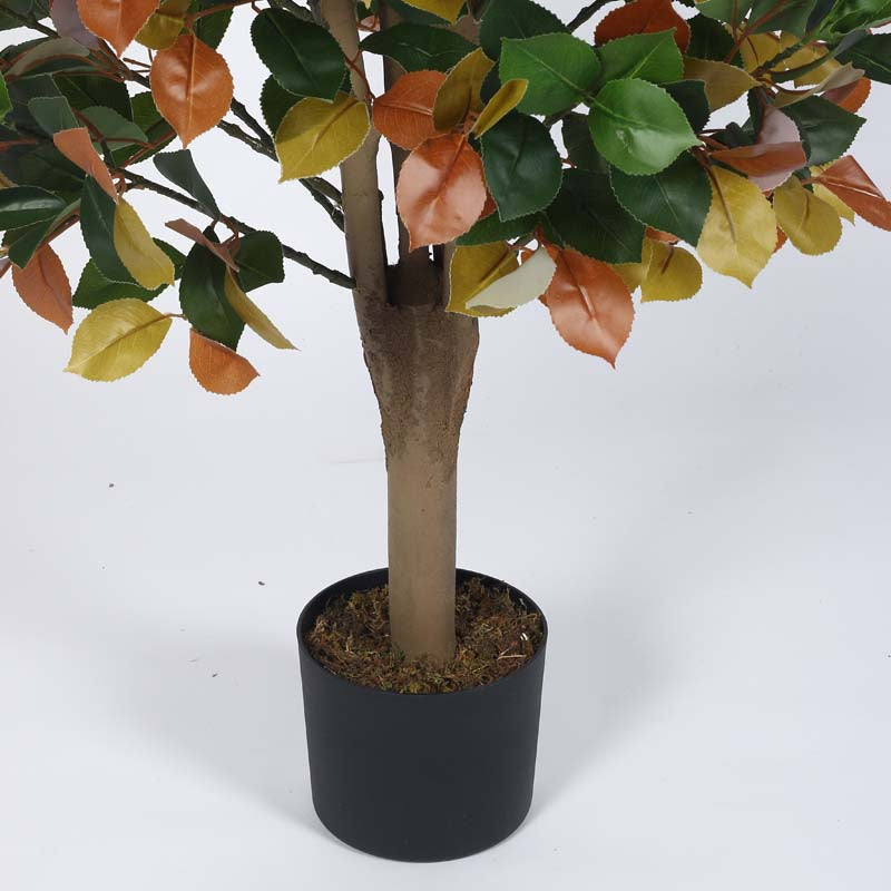 Buy Faux Lush Southern Magnolia Plant - 4 Feet Artificial Plants from Vaaree