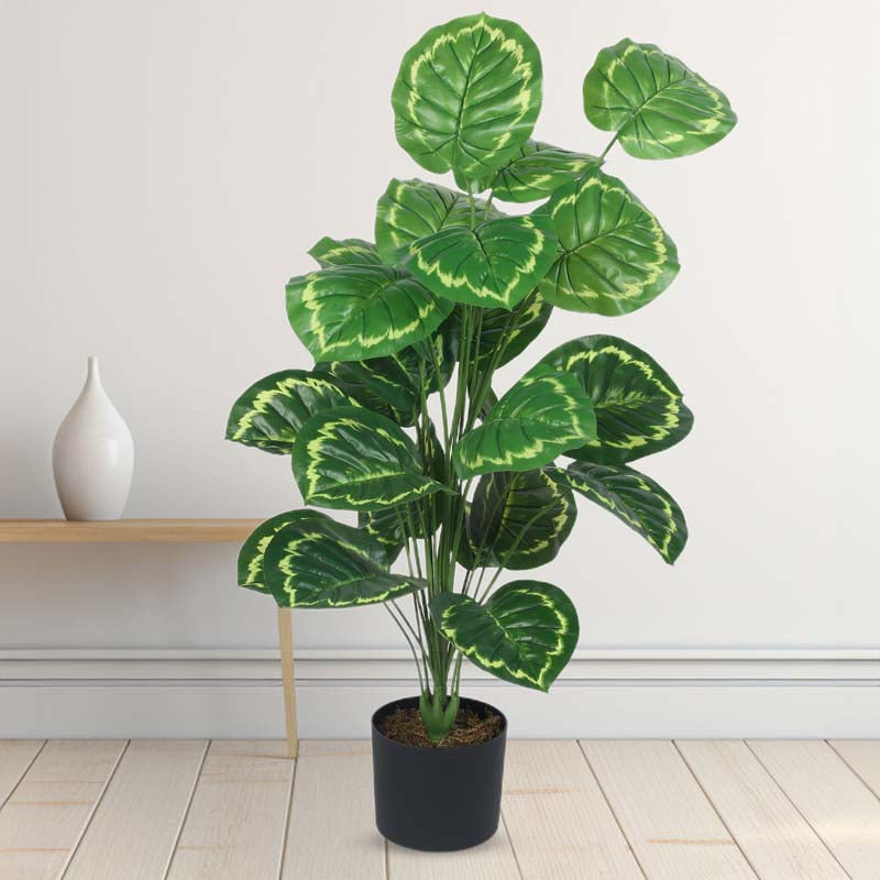 Buy Faux Lush Calanthea Plant With Pot - 3.3 Feet Artificial Plants from Vaaree