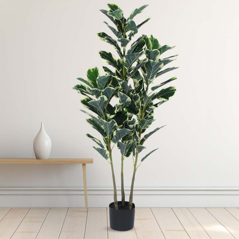 Buy Faux Lush Variegated Fiddle Leaf Fig Plant With Pot - 5 Feet Artificial Plants from Vaaree