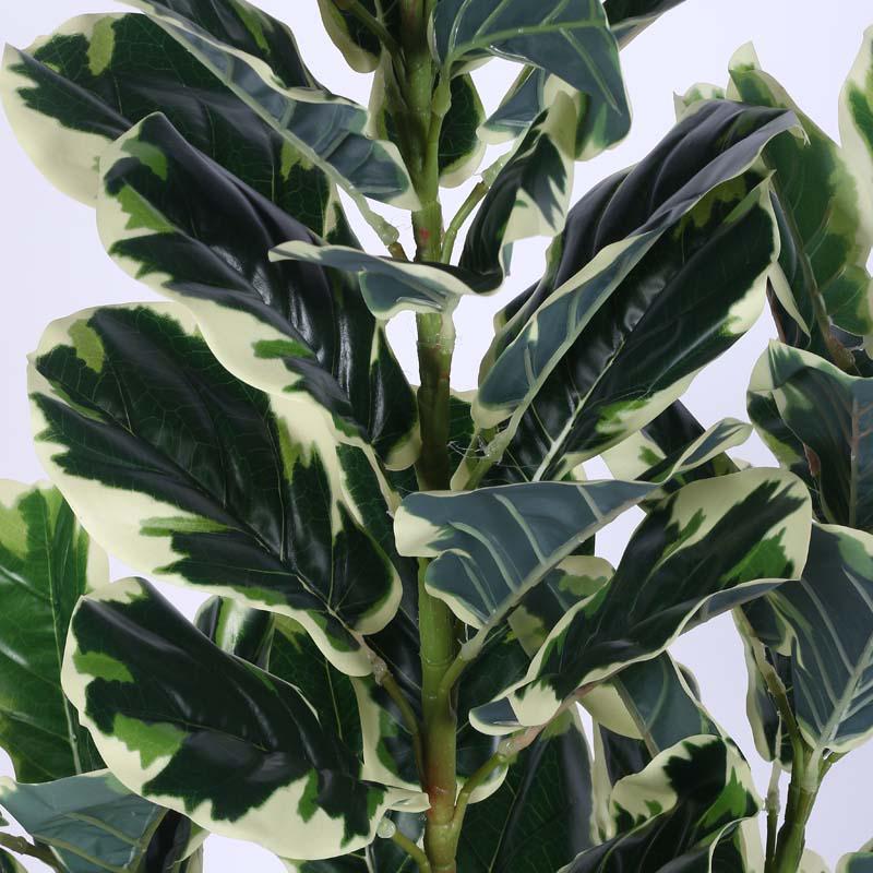 Buy Faux Lush Variegated Fiddle Leaf Fig Plant With Pot - 5 Feet Artificial Plants from Vaaree