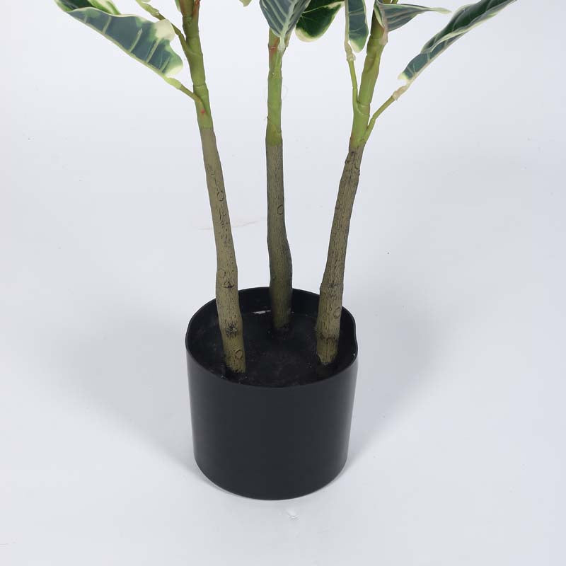 Buy Faux Lush Variegated Fiddle Leaf Fig Plant With Pot - 5 Feet Artificial Plants from Vaaree