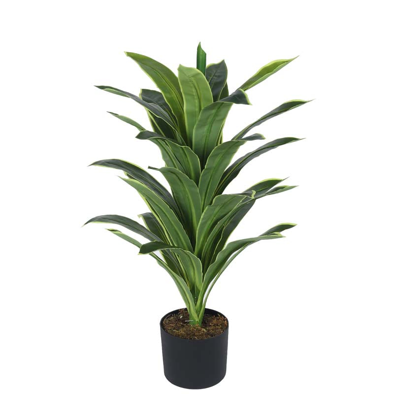 Buy Faux Lush Dracaena Reflexa Plant With Pot - 2.8 Feet Artificial Plants from Vaaree