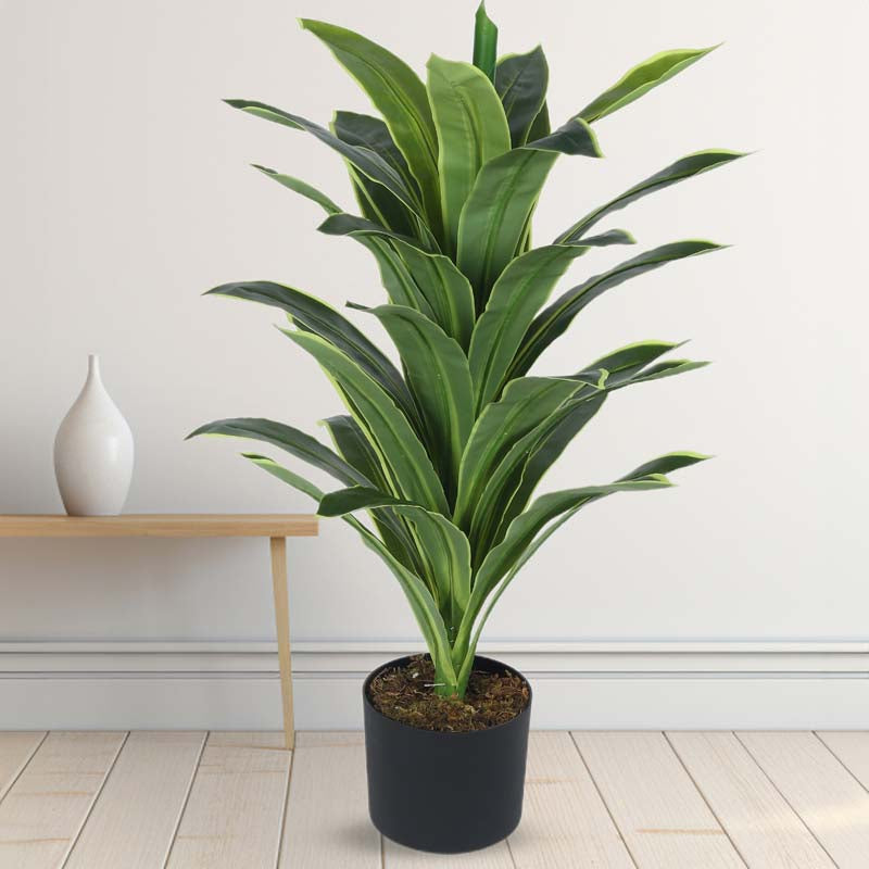 Buy Faux Lush Dracaena Reflexa Plant With Pot - 2.8 Feet Artificial Plants from Vaaree