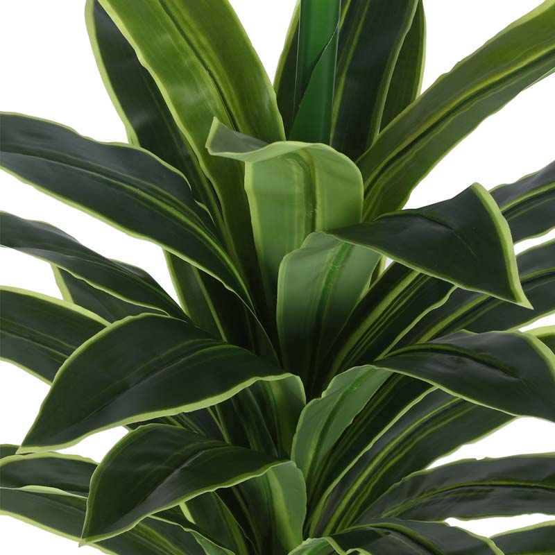 Buy Faux Lush Dracaena Reflexa Plant With Pot - 2.8 Feet Artificial Plants from Vaaree