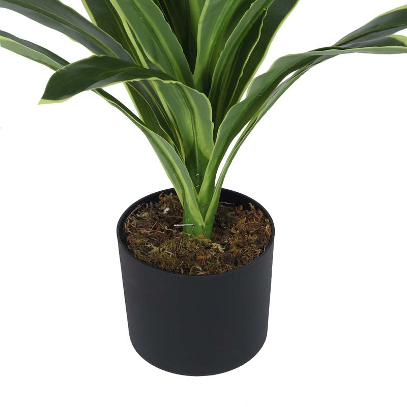 Buy Faux Lush Dracaena Reflexa Plant With Pot - 2.8 Feet Artificial Plants from Vaaree