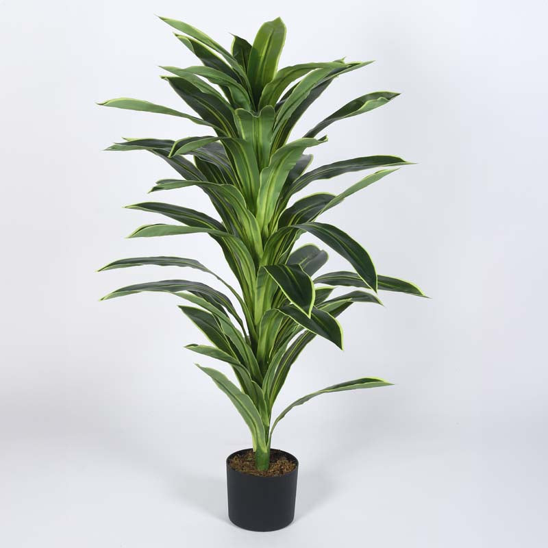 Buy Faux Lush Dracaena Reflexa Plant With Pot - 4 Feet Artificial Plants from Vaaree