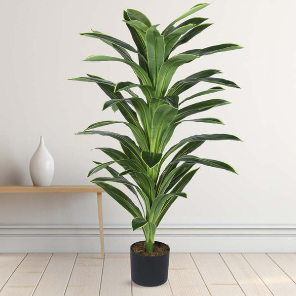 Buy Faux Lush Dracaena Reflexa Plant With Pot - 4 Feet Artificial Plants from Vaaree