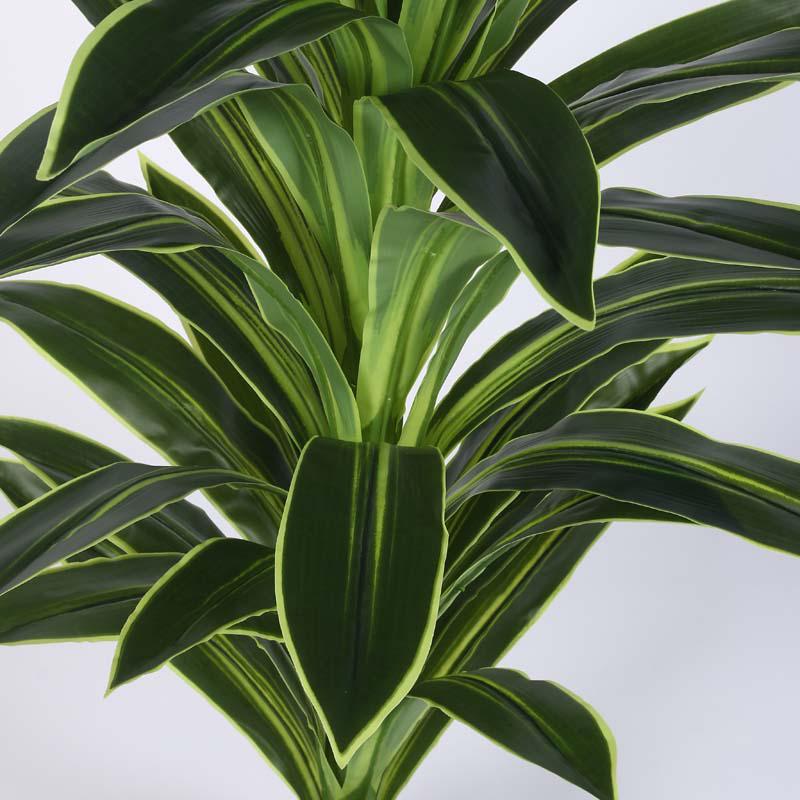 Buy Faux Lush Dracaena Reflexa Plant With Pot - 4 Feet Artificial Plants from Vaaree