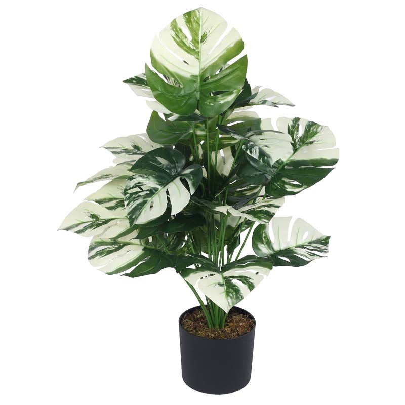 Buy Faux Lush White Monstera Plant With Pot - 2.6 Feet Artificial Plants from Vaaree