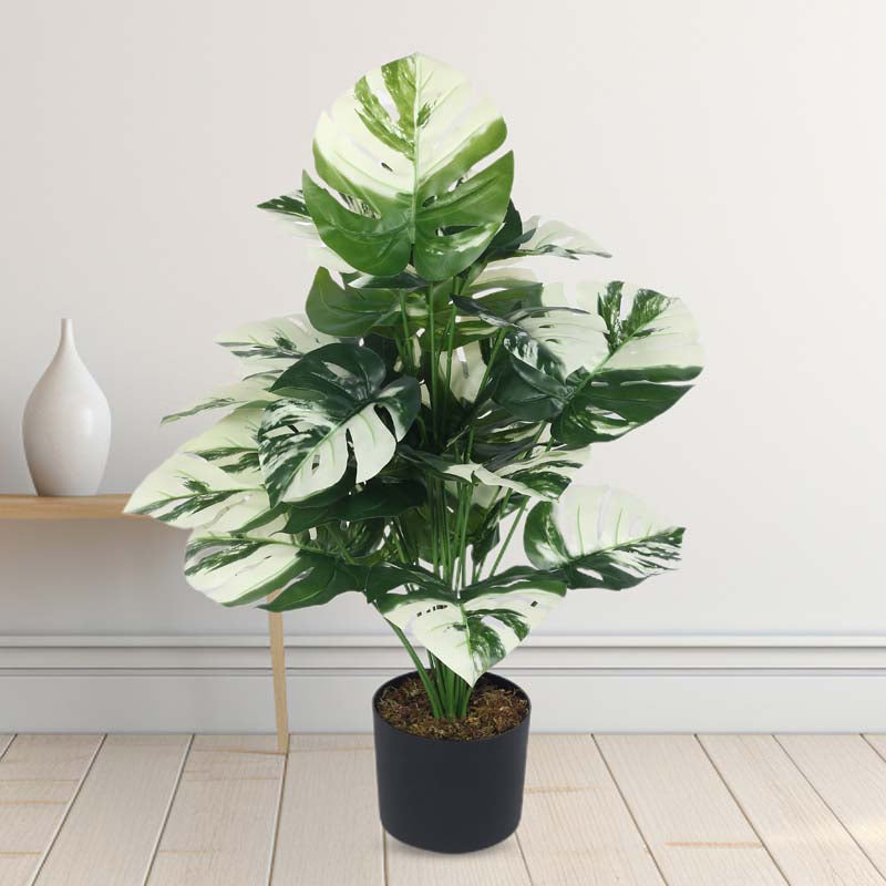 Buy Faux Lush White Monstera Plant With Pot - 2.6 Feet Artificial Plants from Vaaree