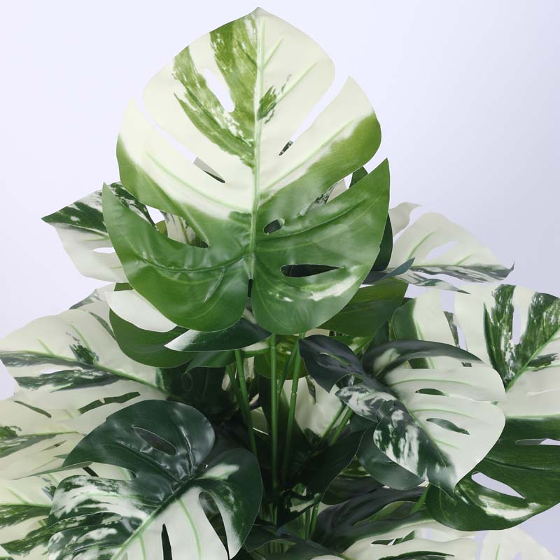 Buy Faux Lush White Monstera Plant With Pot - 2.6 Feet Artificial Plants from Vaaree