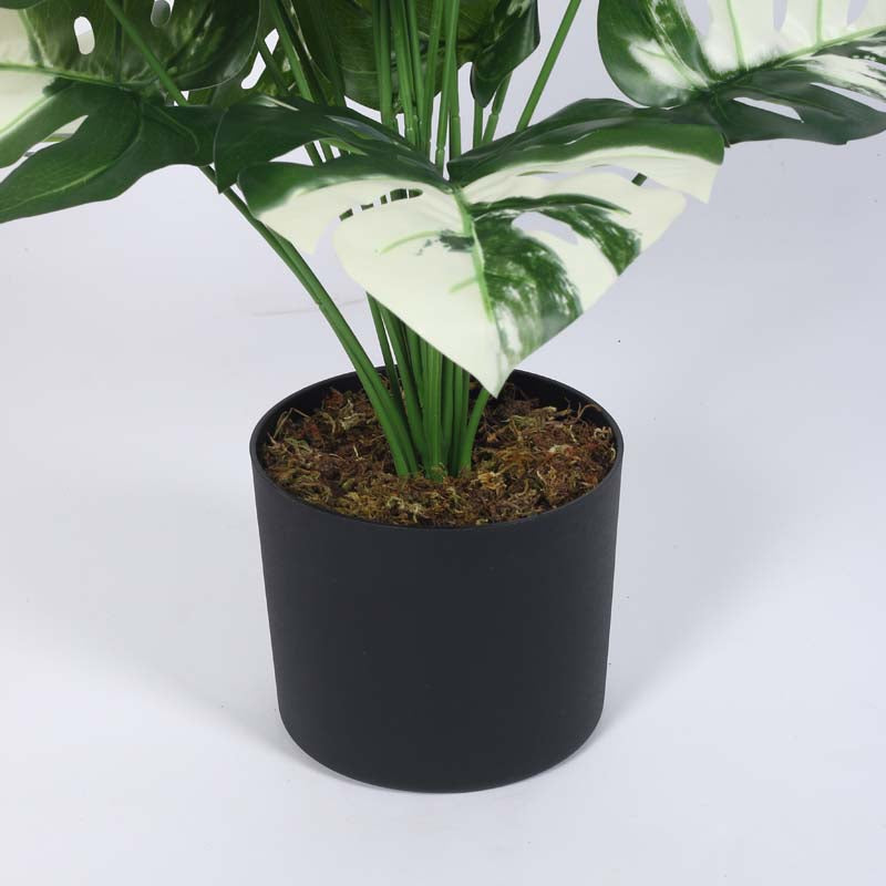 Buy Faux Lush White Monstera Plant With Pot - 2.6 Feet Artificial Plants from Vaaree