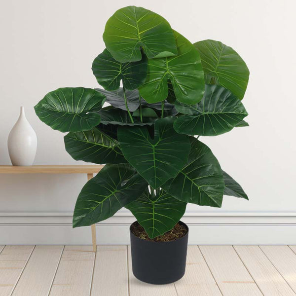 Buy Faux Lush Rubber Fig Plant With Pot - 2.6 Feet Artificial Plants from Vaaree