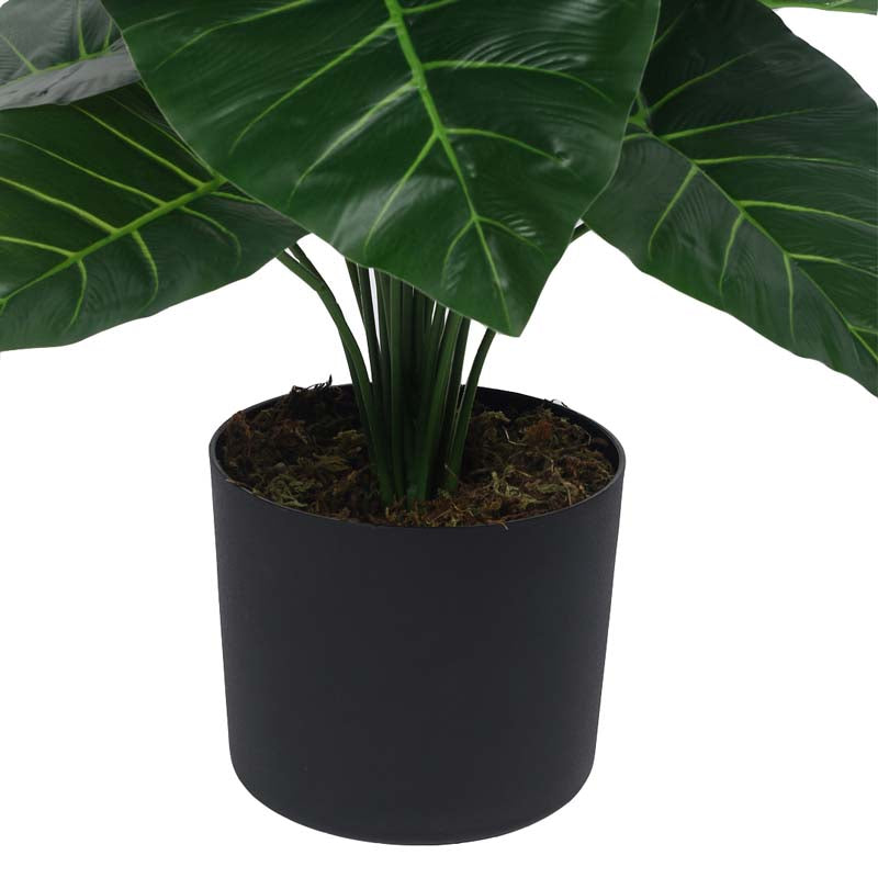 Buy Faux Lush Rubber Fig Plant With Pot - 2.6 Feet Artificial Plants from Vaaree