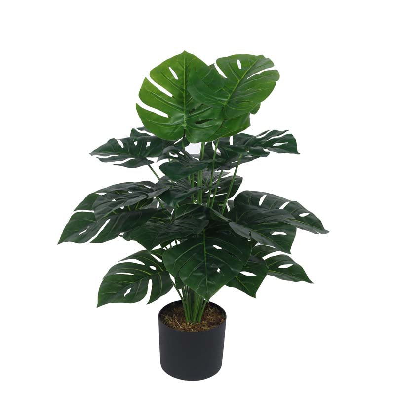 Buy Faux Lush Delisocia Monstera Plant With Pot - 2.6 Feet Artificial Plants from Vaaree