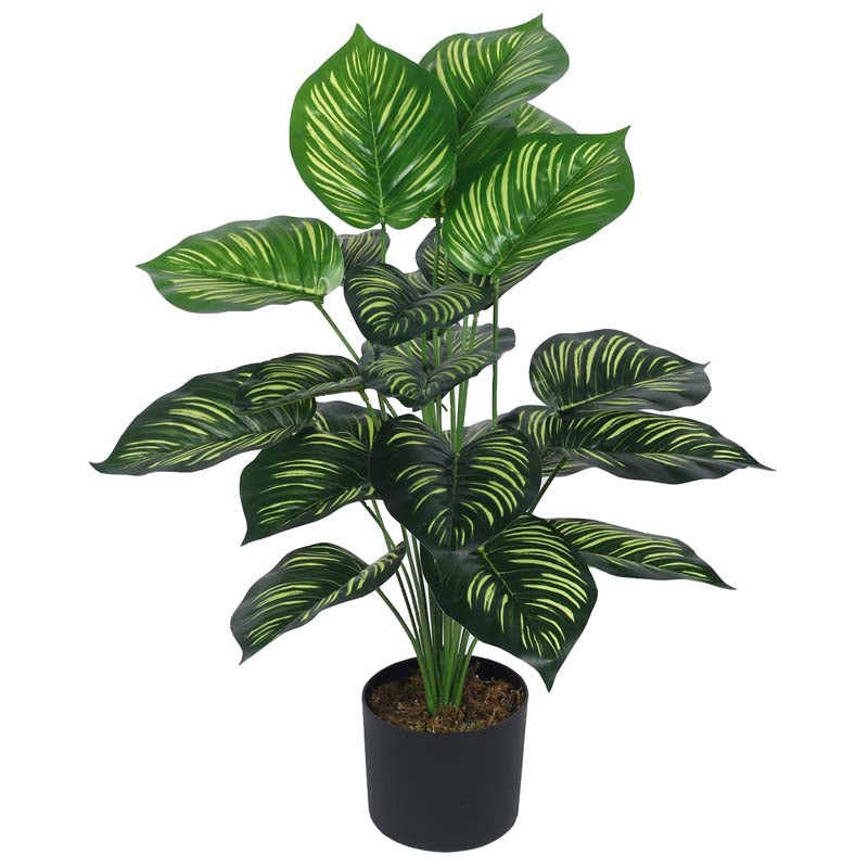 Buy Faux Lush Peperomia Plant With Pot - 2.6 Feet Artificial Plants from Vaaree