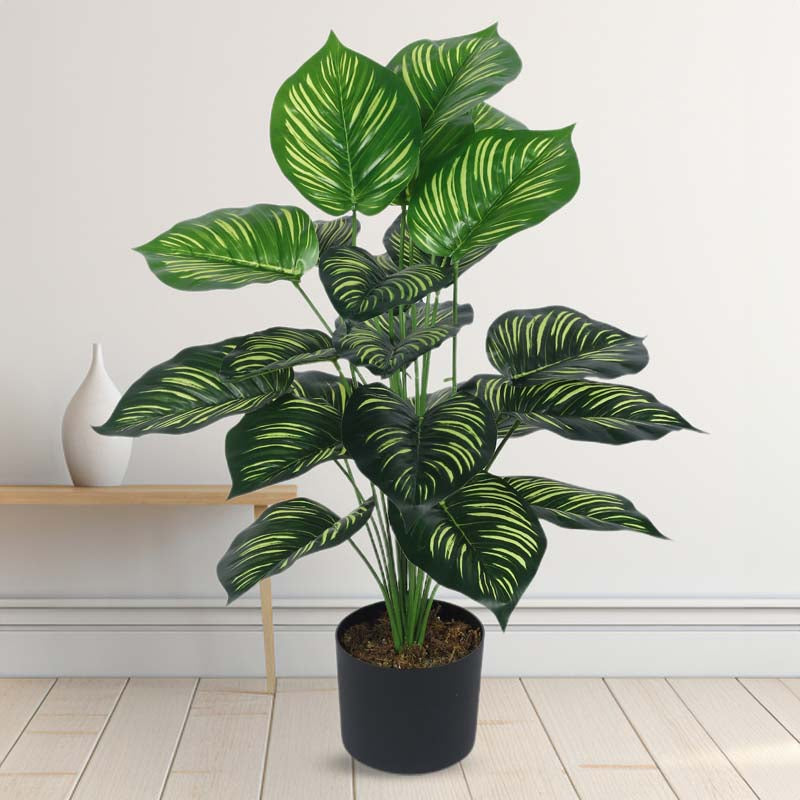 Buy Faux Lush Peperomia Plant With Pot - 2.6 Feet Artificial Plants from Vaaree