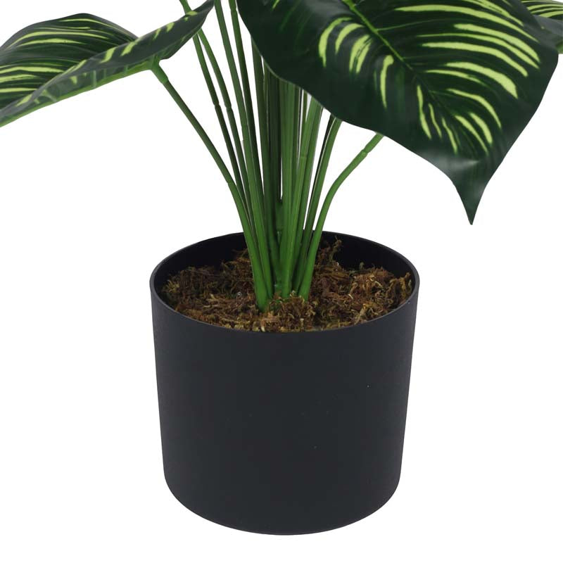 Buy Faux Lush Peperomia Plant With Pot - 2.6 Feet Artificial Plants from Vaaree