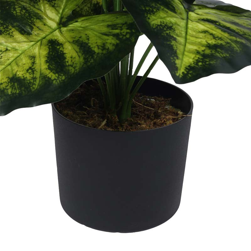 Buy Faux Lush Monstera Plant With Pot - 2.6 Feet Artificial Plants from Vaaree