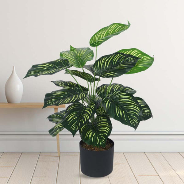 Buy Faux Lush Peperomia Plant With Pot - 2.3 Feet Artificial Plants from Vaaree