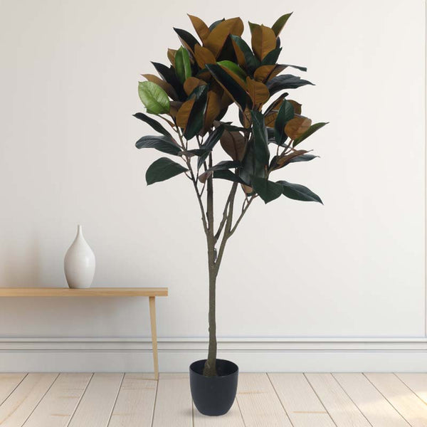 Buy Faux Lush Mangolia Plant With Pot -5 Feet Artificial Plants from Vaaree