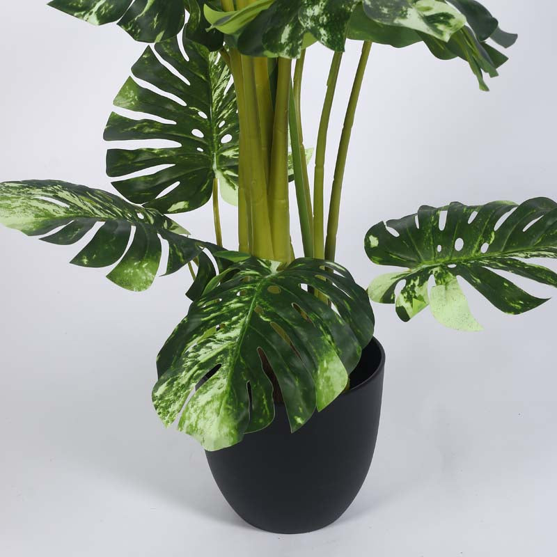 Buy Faux Lush Variegated Monstera Plant With Pot - 4 Feet Artificial Plants from Vaaree