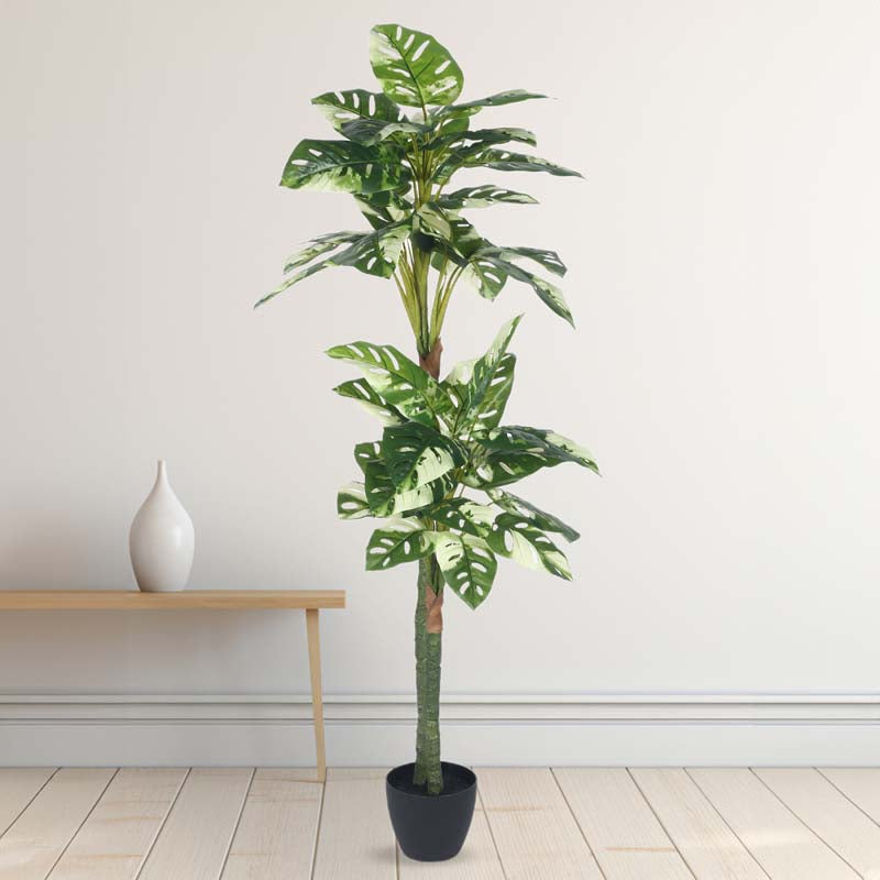 Buy Faux Lush Variegated Monstera Plant With Pot - 4.8 Feet Artificial Plants from Vaaree