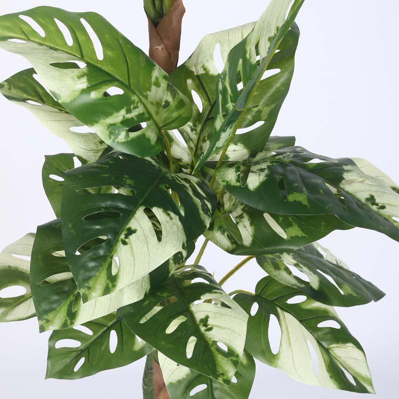 Buy Faux Lush Variegated Monstera Plant With Pot - 4.8 Feet Artificial Plants from Vaaree