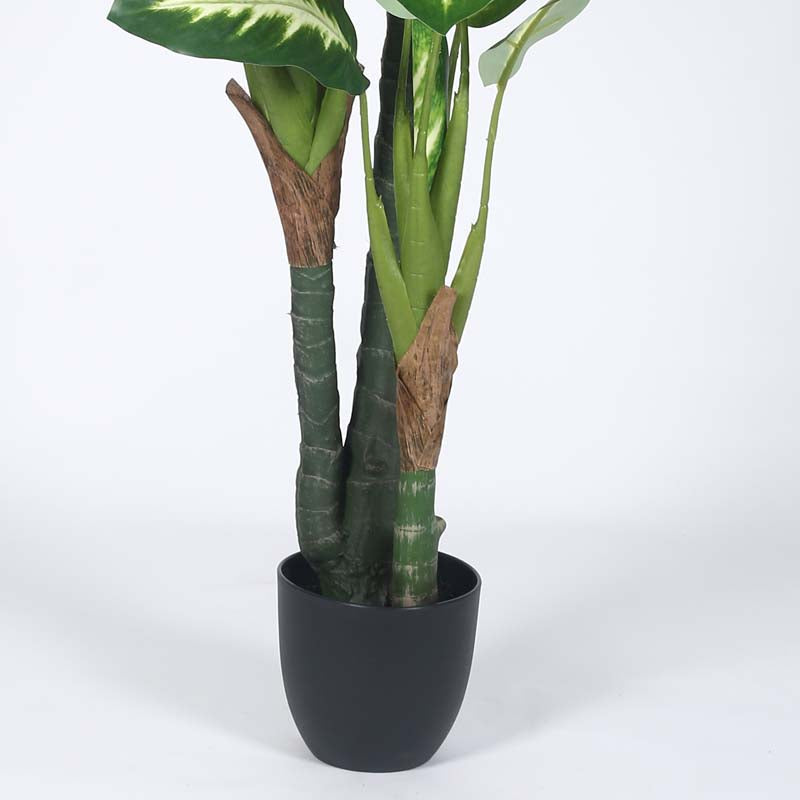 Buy Faux Lush Variegated Dieffenbachia Plant With Pot - 5.2 Feet Artificial Plants from Vaaree