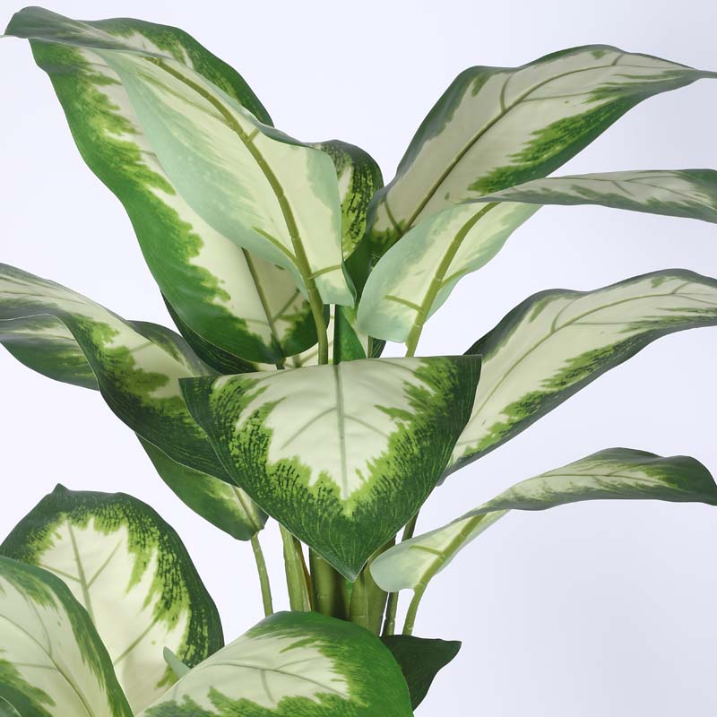 Buy Faux Lush Variegated Dieffenbachia Plant With Pot - 5.2 Feet Artificial Plants from Vaaree