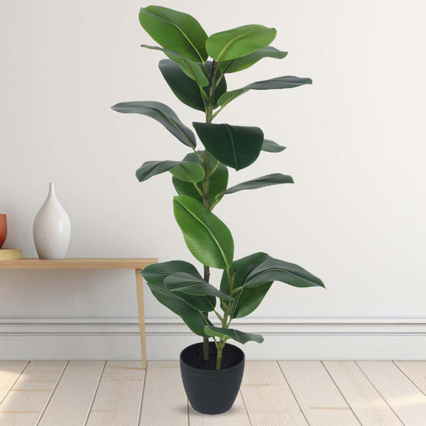 Buy Faux Lush Rubber Plant With Pot - 4 Feet Artificial Plants from Vaaree