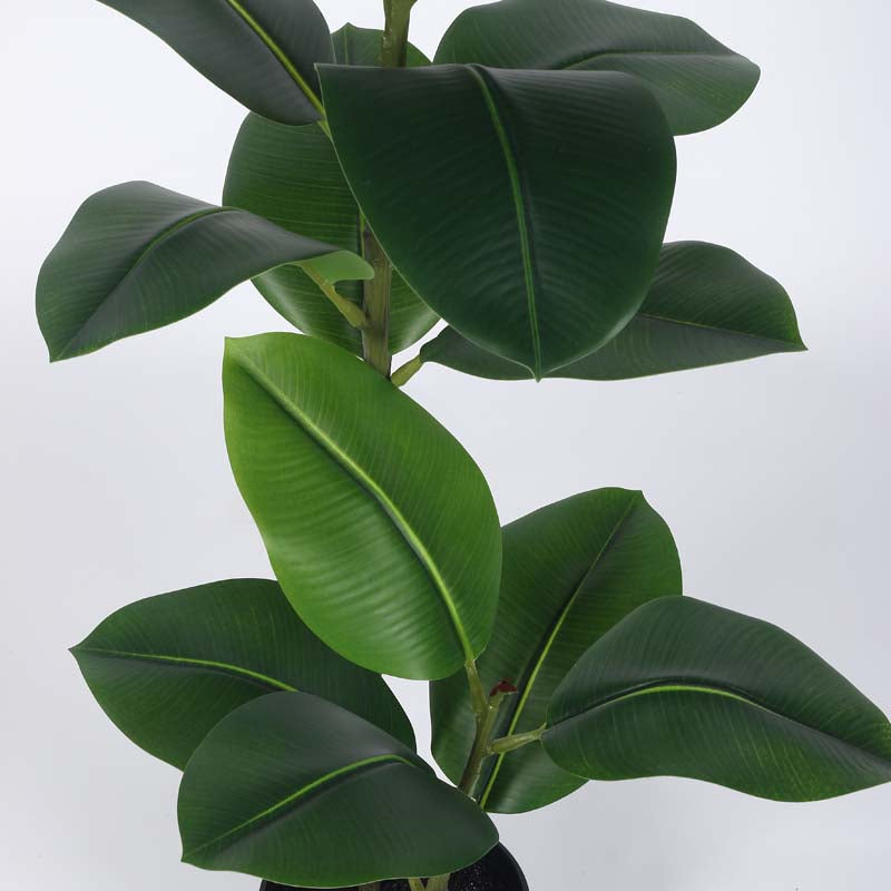 Buy Faux Lush Rubber Plant With Pot - 4 Feet Artificial Plants from Vaaree