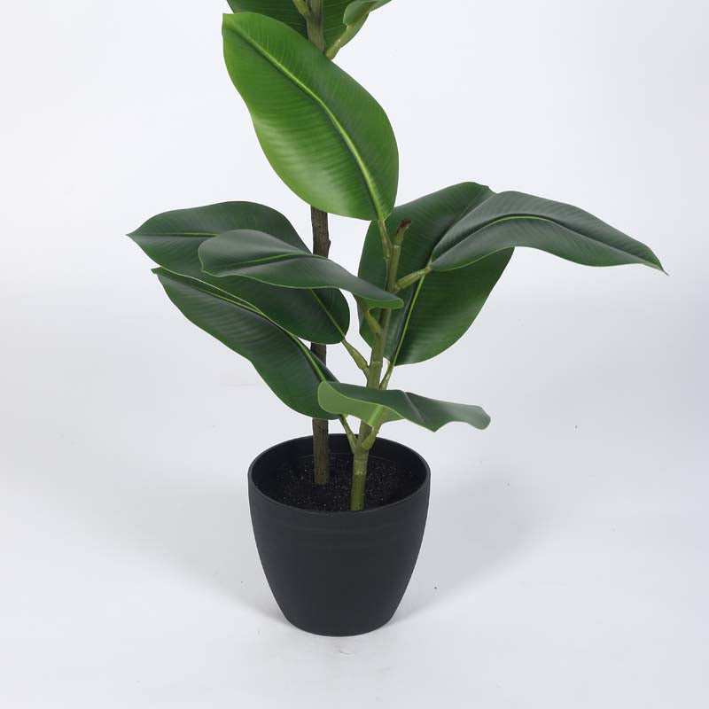 Buy Faux Lush Rubber Plant With Pot - 4 Feet Artificial Plants from Vaaree