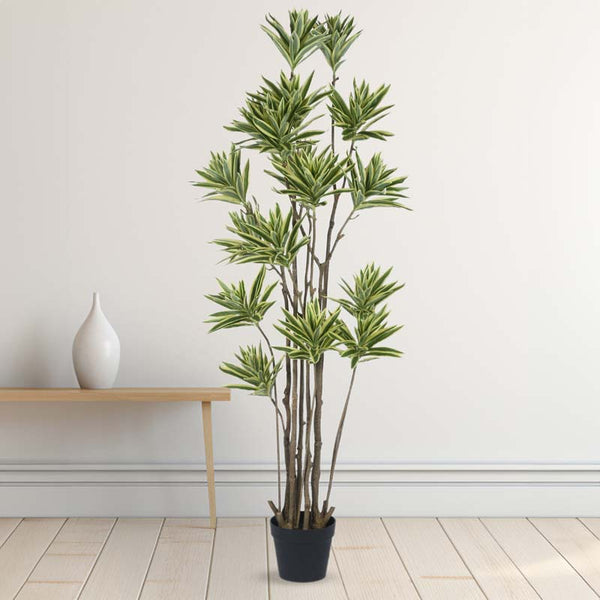 Buy Faux Lush Dracaena Reflexa Plant With Pot - 5.2 Feet Artificial Plants from Vaaree