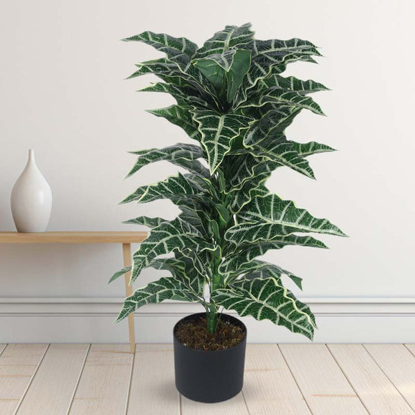 Buy Faux Lush Happy Philo Plant With Pot - 2.8 Feet Artificial Plants from Vaaree