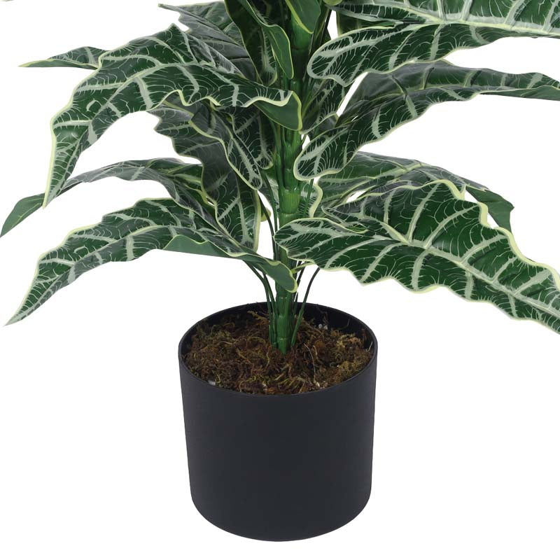 Buy Faux Lush Happy Philo Plant With Pot (Dark Green) - 2.8 Feet Artificial Plants from Vaaree