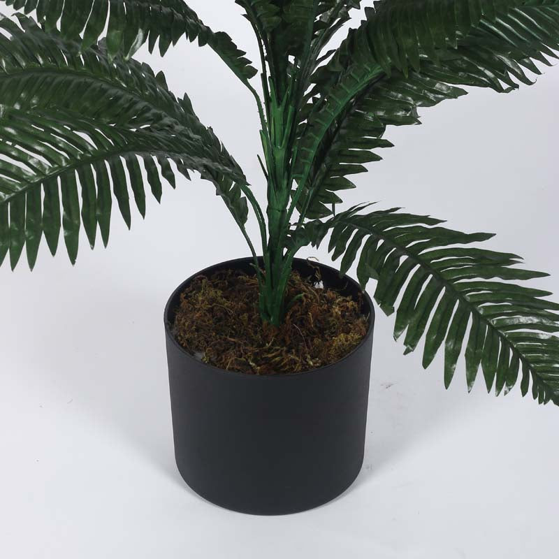 Buy Faux Lush Boston Fern Plant With Pot - 2.8 Feet Artificial Plants from Vaaree