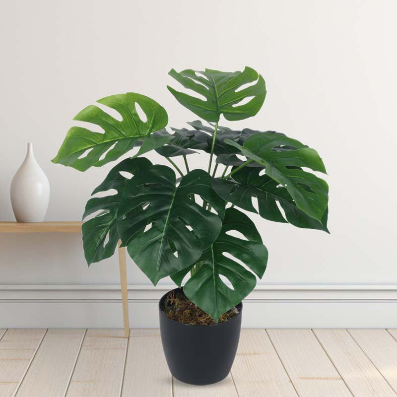 Buy Faux Lush Mostera Plant With Pot - 1.8 Feet Artificial Plants from Vaaree