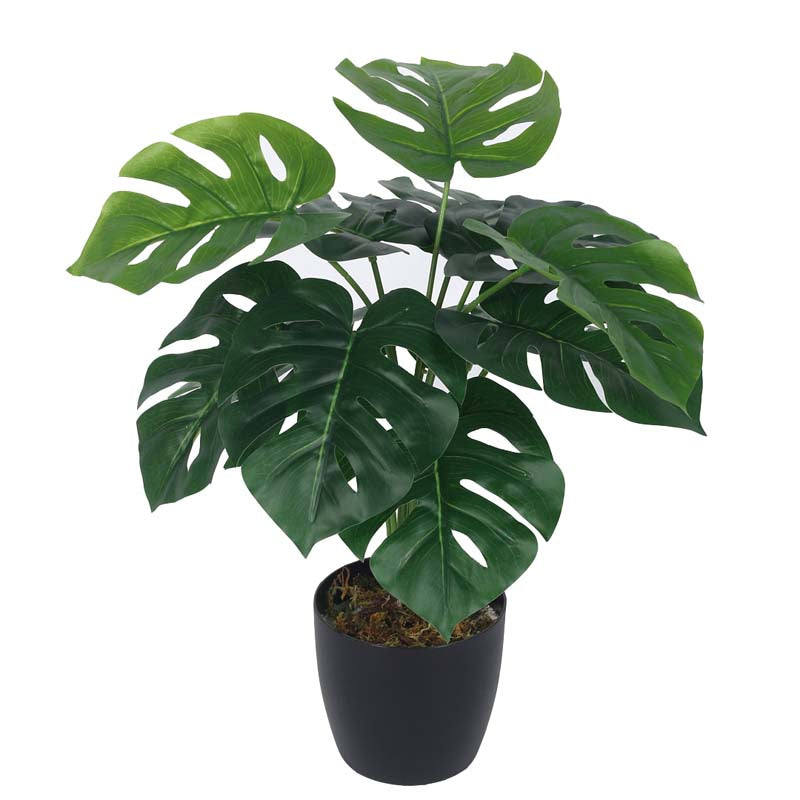 Buy Faux Lush Mostera Plant With Pot - 1.8 Feet Artificial Plants from Vaaree