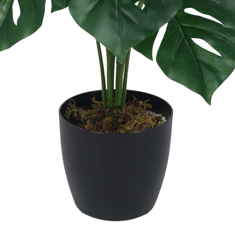 Buy Faux Lush Mostera Plant With Pot - 1.8 Feet Artificial Plants from Vaaree