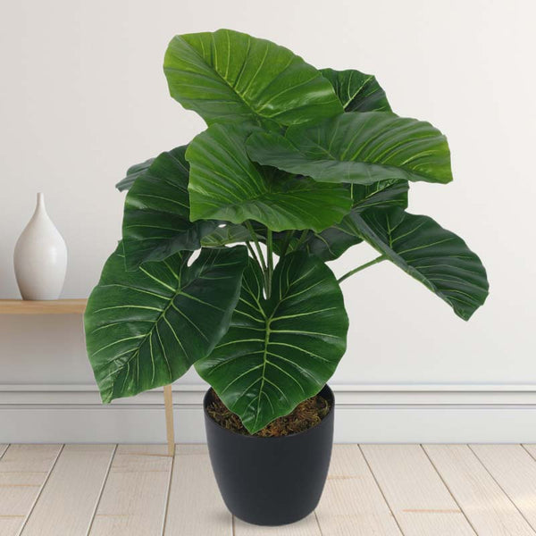 Buy Faux Lush Rubber Fig Plant With Pot - 1.8 Feet Artificial Plants from Vaaree