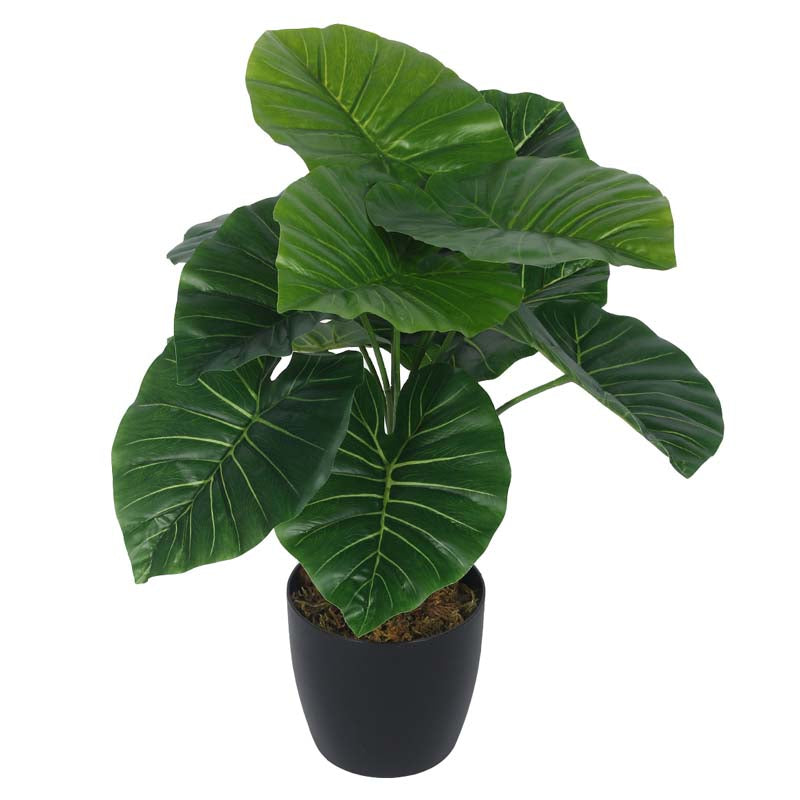 Buy Faux Lush Rubber Fig Plant With Pot - 1.8 Feet Artificial Plants from Vaaree