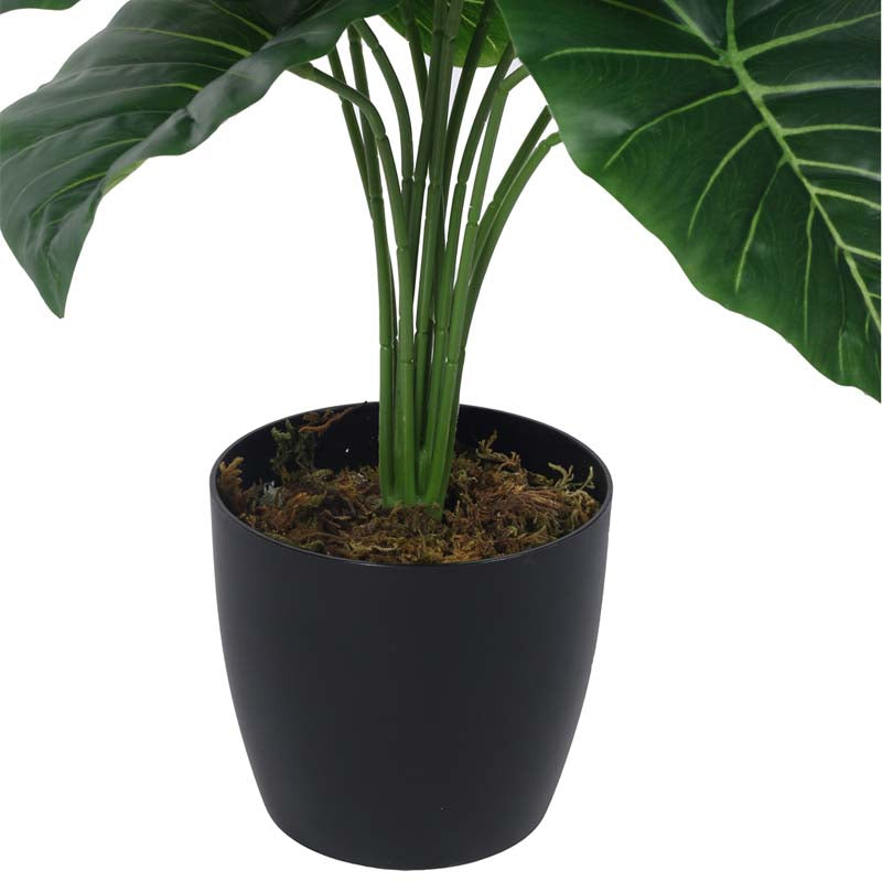 Buy Faux Lush Rubber Fig Plant With Pot - 1.8 Feet Artificial Plants from Vaaree