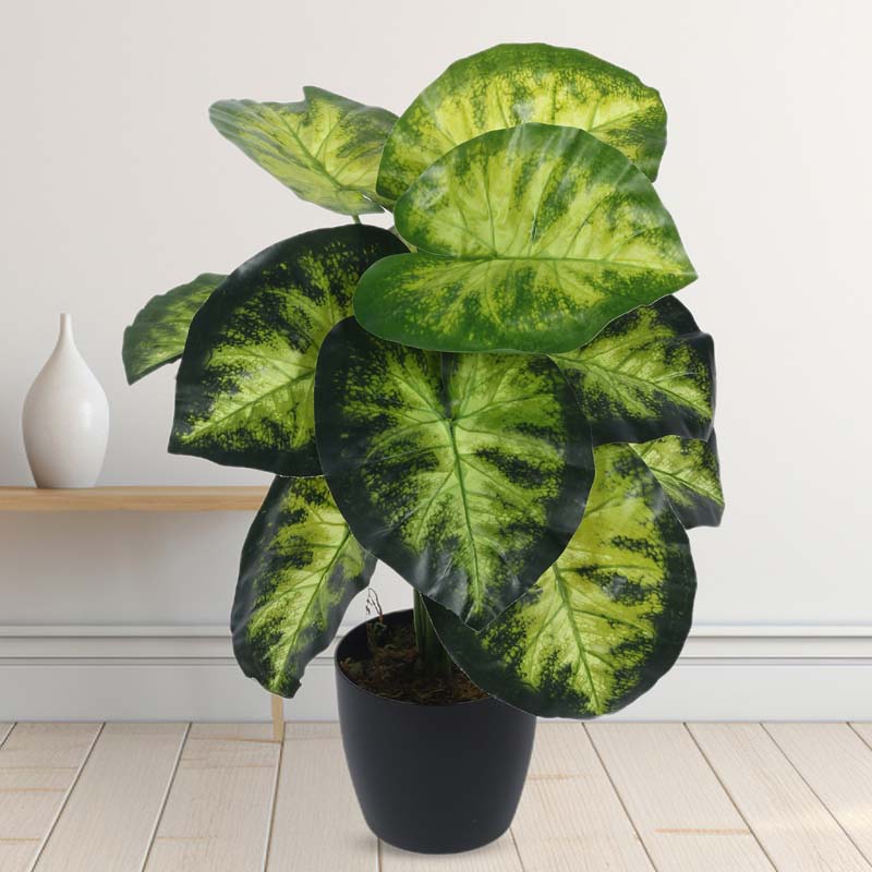 Buy Faux Lush Aldo Monstera Plant With Pot - 1.8 Feet Artificial Plants from Vaaree