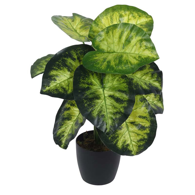 Buy Faux Lush Aldo Monstera Plant With Pot - 1.8 Feet Artificial Plants from Vaaree