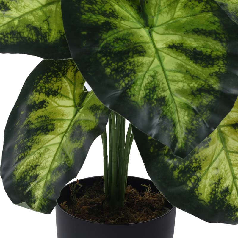 Buy Faux Lush Aldo Monstera Plant With Pot - 1.8 Feet Artificial Plants from Vaaree