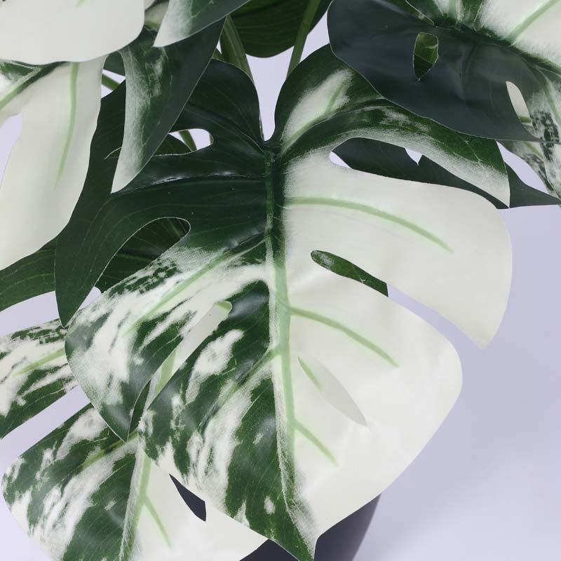 Buy Faux Lush White Monstera Plant With Pot - 1.8 Feet Artificial Plants from Vaaree