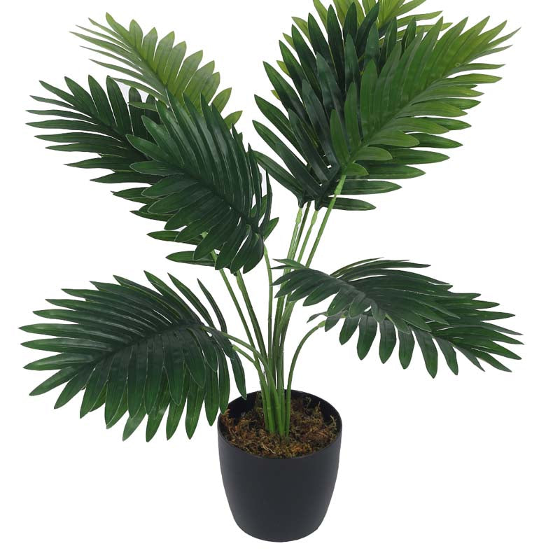 Buy Faux Lush Areca Plam Plant With Pot - 1.8 Feet Artificial Plants from Vaaree