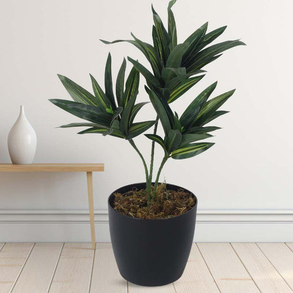 Buy Faux Lush Dracaena Reflexa Plant (Dark Green) - 1.3 Feet Artificial Plants from Vaaree