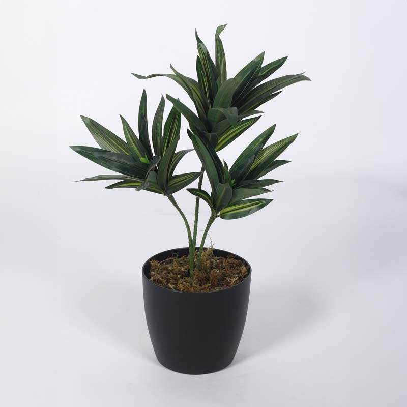 Buy Faux Lush Dracaena Reflexa Plant With Pot (Dark Green) - 1.3 Feet Artificial Plants from Vaaree